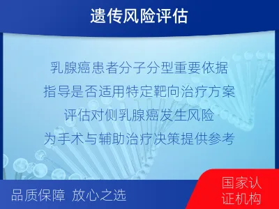 蒲-BRCA1基因检测-报告解读