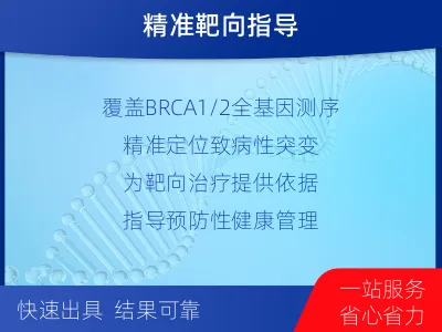 乐陵-BRCA1基因检测-报告解读