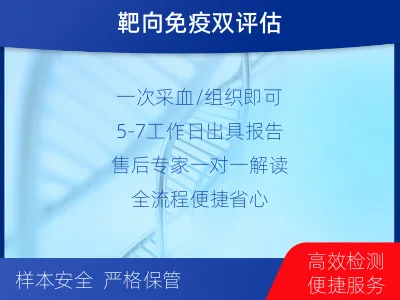 掇刀-消化道肿瘤靶药基因综合检测-检测介绍