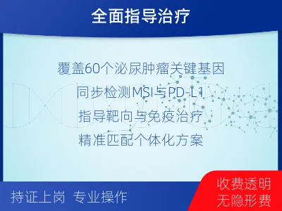 张店-泌尿系统肿瘤靶药基因综合检测-报告解读