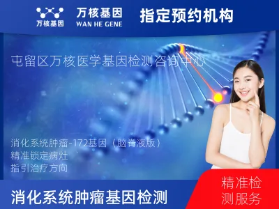 长治市屯留区消化系统肿瘤-172基因（脑脊液版）