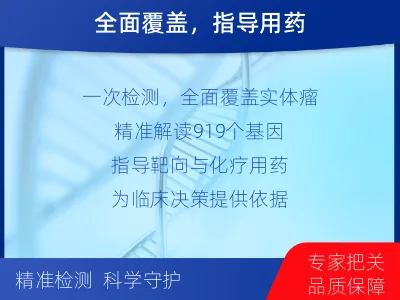 淄博-泛实体瘤基因检测-检测流程