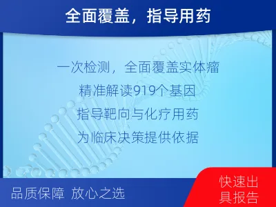乐陵-泛实体瘤基因检测-检测流程