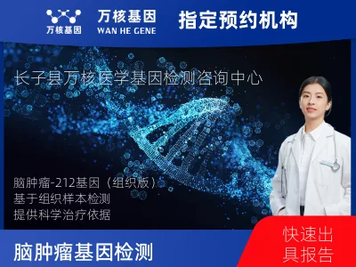 长治市长子县脑肿瘤-212基因（组织版）