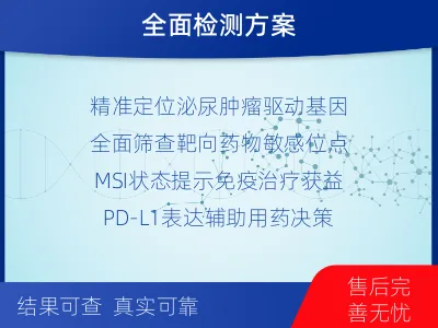 莱西-泌尿系统肿瘤靶药基因综合检测-报告解读