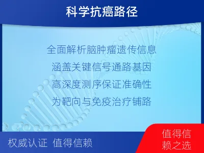 津南-全外显子基因检测-脑肿瘤-检测介绍