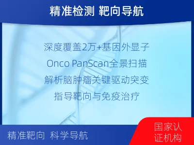 丛台-全外显子基因检测-脑肿瘤-报告解读