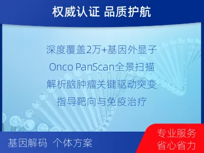 崇礼-全外显子基因检测-脑肿瘤-报告解读