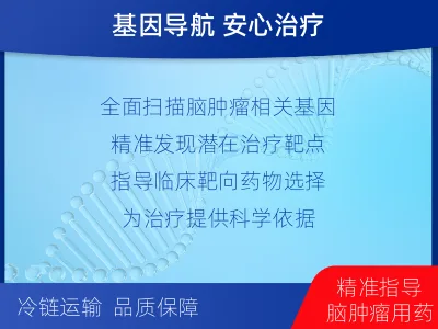 双滦-全外显子基因检测-脑肿瘤-检测流程