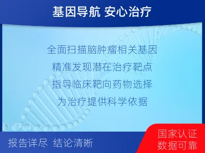 古-全外显子基因检测-脑肿瘤-检测介绍