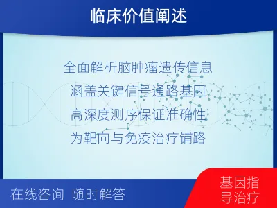乡宁-全外显子基因检测-脑肿瘤-适用人群