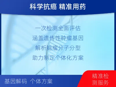 多伦-全外显子基因检测-脑肿瘤-检测介绍