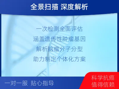 阿拉善左-全外显子基因检测-脑肿瘤-检测流程