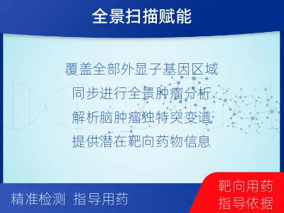 克山-全外显子基因检测-脑肿瘤-报告解读