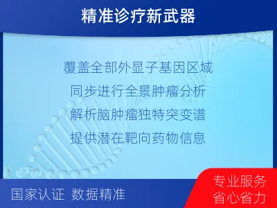 克山-全外显子基因检测-脑肿瘤-适用人群