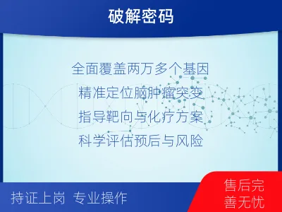 龙凤-全外显子基因检测-脑肿瘤-检测介绍