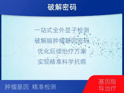 宁安-全外显子基因检测-脑肿瘤-检测介绍