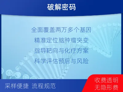 奉贤-全外显子基因检测-脑肿瘤-适用人群