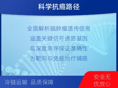 洪泽-全外显子基因检测-脑肿瘤-报告解读