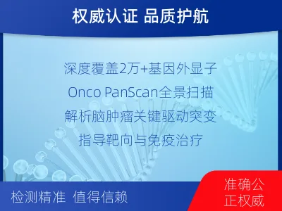 杜集-全外显子基因检测-脑肿瘤-检测流程