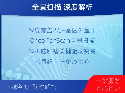 临泉-全外显子基因检测-脑肿瘤-检测流程