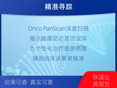 金寨-全外显子基因检测-脑肿瘤-报告解读