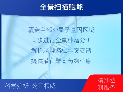 涡阳-全外显子基因检测-脑肿瘤-报告解读
