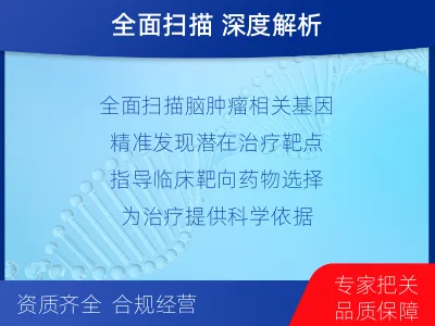 平和-全外显子基因检测-脑肿瘤-报告解读