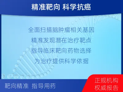 平和-全外显子基因检测-脑肿瘤-检测介绍