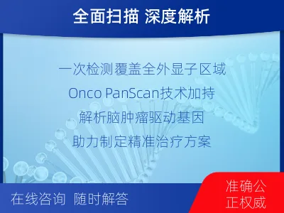 屏南-全外显子基因检测-脑肿瘤-检测介绍