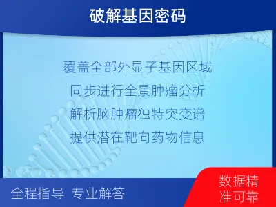 章贡-全外显子基因检测-脑肿瘤-适用人群