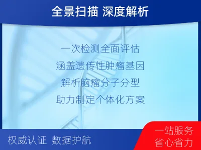 靖安-全外显子基因检测-脑肿瘤-检测流程