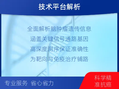 章丘-全外显子基因检测-脑肿瘤-适用人群