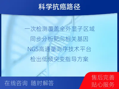 宁津-全外显子基因检测-脑肿瘤-报告解读