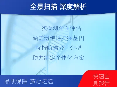 平原-全外显子基因检测-脑肿瘤-报告解读