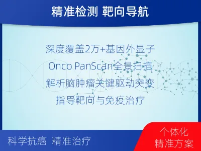 平原-全外显子基因检测-脑肿瘤-适用人群