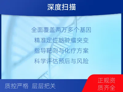 沾化-全外显子基因检测-脑肿瘤-报告解读