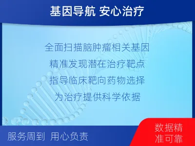 管城-全外显子基因检测-脑肿瘤-检测介绍