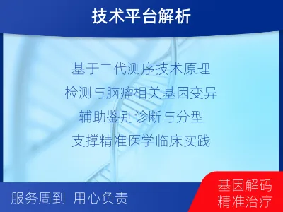 淮阳-全外显子基因检测-脑肿瘤-检测流程
