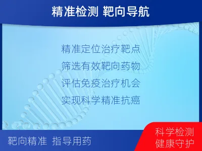 平舆-全外显子基因检测-脑肿瘤-检测流程
