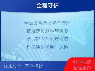 掇刀-全外显子基因检测-脑肿瘤-检测介绍