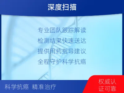 掇刀-全外显子基因检测-脑肿瘤-检测流程
