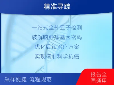 城步-全外显子基因检测-脑肿瘤-检测介绍