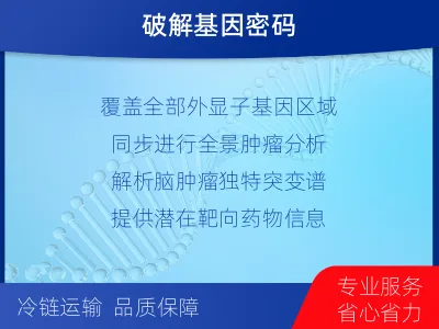云溪-全外显子基因检测-脑肿瘤-适用人群