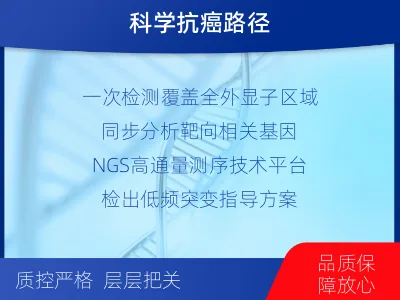 汉寿-全外显子基因检测-脑肿瘤-检测介绍