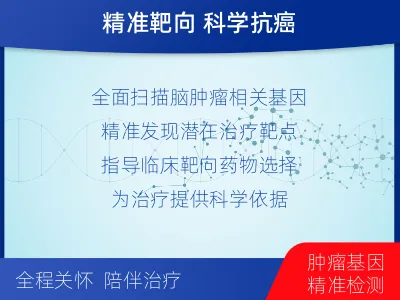 秀山-全外显子基因检测-脑肿瘤-检测流程