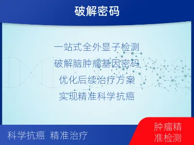 大邑-全外显子基因检测-脑肿瘤-检测流程