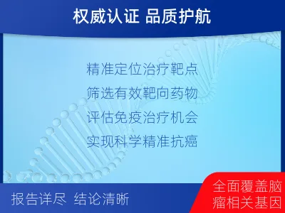 小金-全外显子基因检测-脑肿瘤-检测流程