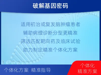 施秉-全外显子基因检测-脑肿瘤-报告解读