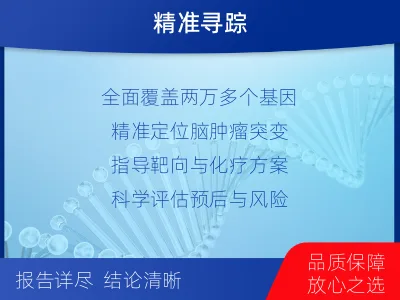 从江-全外显子基因检测-脑肿瘤-检测介绍